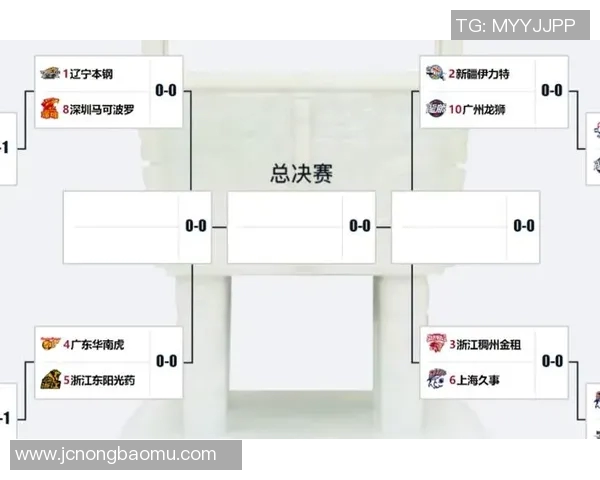 CBA辽宁男篮对阵浙江精彩对决高清回放与分析